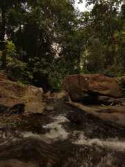 Image 6