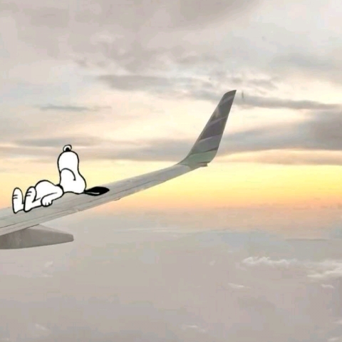 作者名称
